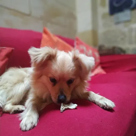 컨트리하우스 Ta' Lorenzo