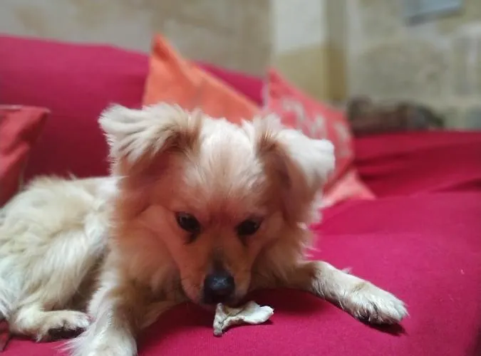 Country house Ta' Lorenzo